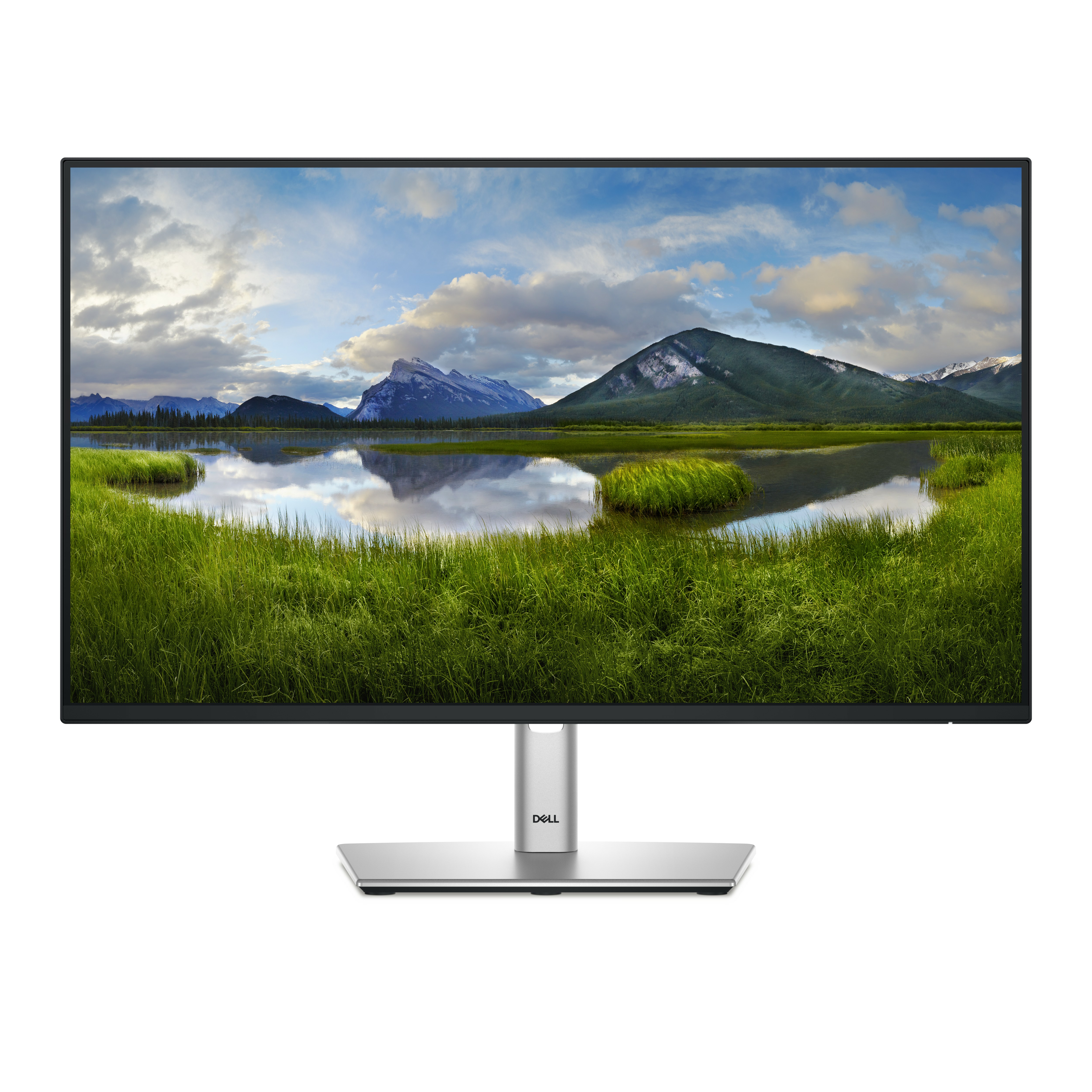 Monitor DELL P2425H